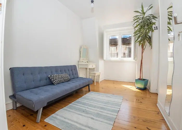 Boho & 게스트하우스