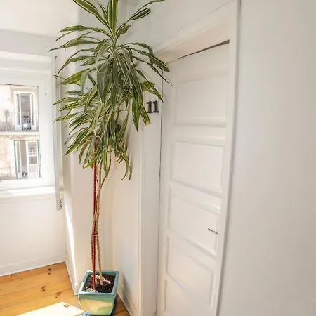 Boho Guesthouse Rooms & Apartments Lissabon
